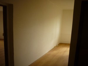 P1030352