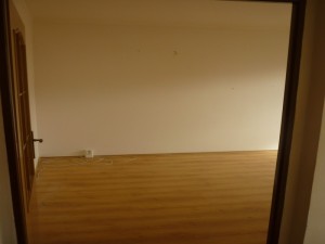 P1030354