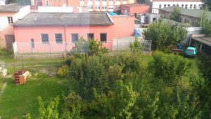 rozbelesy_p_20160916_161010-kopirovat